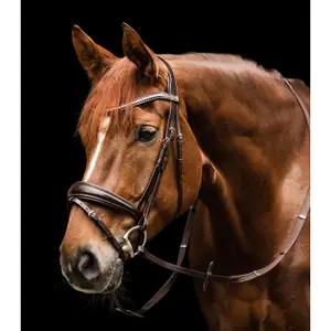 Trense Waldhausen S-Line Essential image-3