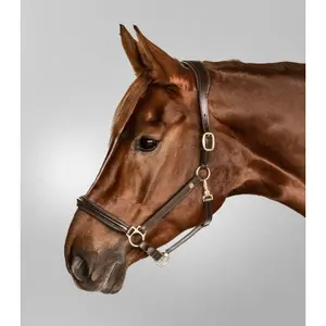 Halster för häst Waldhausen S-Line image-1