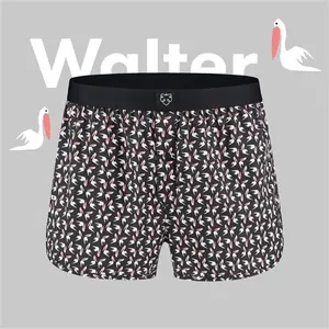 Boxer Adam WALTER image-0