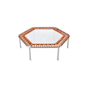 Trampoline aquatique hexagonal Waterflex Premium image-0