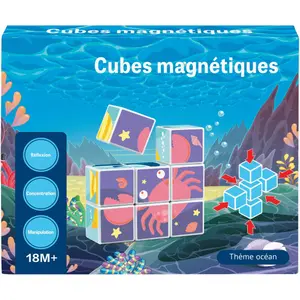 9 magnetic marine cubes puzzle WDK Partner image-0