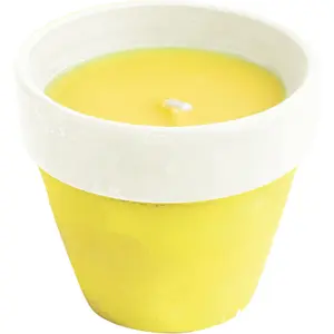Lemongrass candle WDK Partner image-0