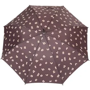 Umbrella Weather Report Bissau image-1