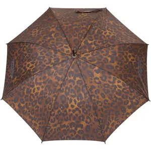 Umbrella Weather Report Bissau image-1