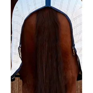 Onderdeken voor paard van katoen Weatherbeeta Comfitec image-3