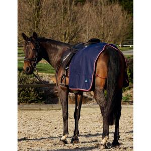 Hindquarters Cover Weatherbeeta Essential