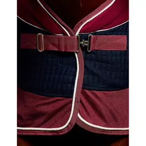 Cobertor de secagem para cavalos Weatherbeeta Thermo-Air image-2