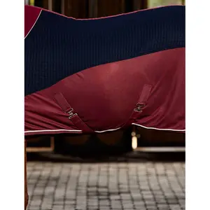 Cobertor de secagem para cavalos Weatherbeeta Thermo-Air image-3