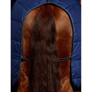 Stalldecke für Pferde Weatherbeeta Comfitec 220g image-1