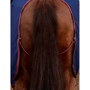 Camisa de cavalo Weatherbeeta image-2