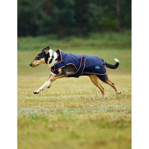 Hundemantel Weatherbeeta Comfitec Premier Deluxe image-1