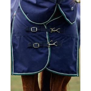 Removable neck outdoor horse rug Weatherbeeta Comfitec Plus Dynamic 0g image-2