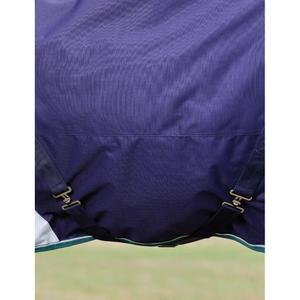 Removable neck outdoor horse rug Weatherbeeta Comfitec Plus Dynamic 0g image-3