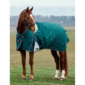 product/w/e/weatherbeeta-1029006001-forest-green-navy-2.jpg
