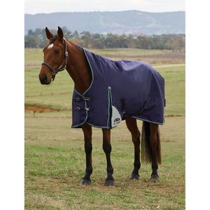 Couverture d'extérieur pour cheval col haut Weatherbeeta Comfitec Plus Dynamic 100g