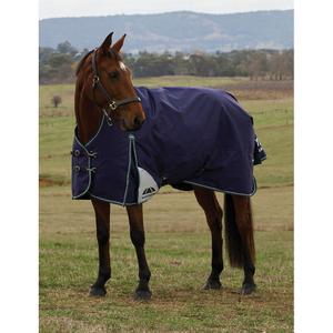 High collar  Blanket Weatherbeeta Comfitec Plus Dynamic 100g image-1
