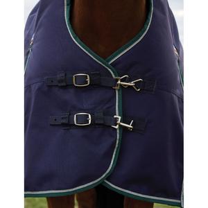 High collar  Blanket Weatherbeeta Comfitec Plus Dynamic 100g image-2