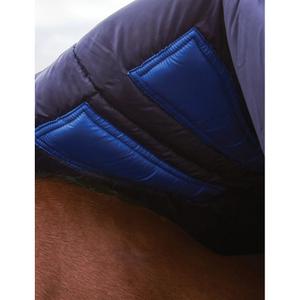 High collar  Blanket Weatherbeeta Comfitec Plus Dynamic 100g image-4