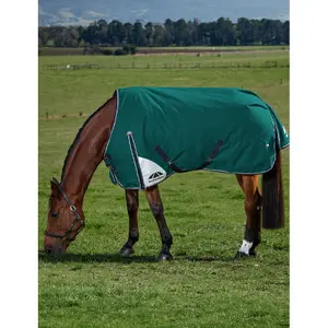 Outdoor  Blanket Weatherbeeta Comfitec Plus Dynamic 100g image-0