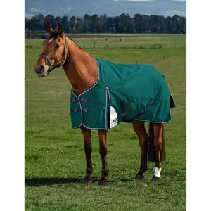 Outdoor  Blanket Weatherbeeta Comfitec Plus Dynamic 100g image-1