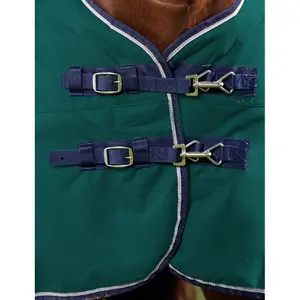 Outdoor  Blanket Weatherbeeta Comfitec Plus Dynamic 100g image-2