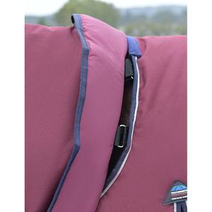 Abnehmbare Außenpferde-Decke mit Hals Weatherbeeta Comfitec Essential 220g image-4