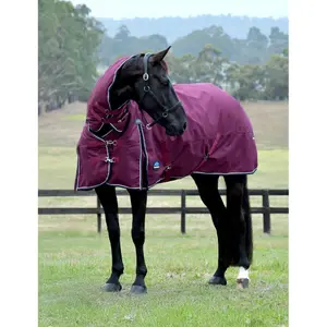 Outdoor paardendeken Weatherbeeta Comfitec Essential Combo 220g image-1