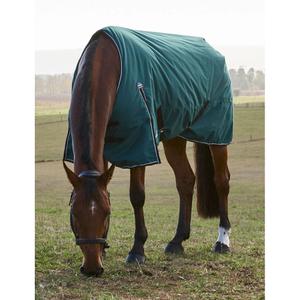 product/w/e/weatherbeeta-1029028001-forest-green-black-2.jpg
