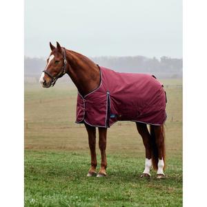 product/w/e/weatherbeeta-1029032001-burgundy-navy-1.jpg