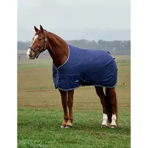Outdoor  Blanket Weatherbeeta Comfitec Tyro Standard 50g image-0