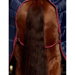 Zewnętrzna derka dla koni Weatherbeeta Comfitec 210D 220g image-2