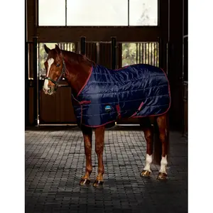 Couverture d'extérieur pour cheval Weatherbeeta Comfitec 210D Standard 100g image-0