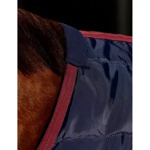 Couverture d'extérieur pour cheval Weatherbeeta Comfitec 210D Standard 100g image-1