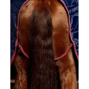 Couverture d'extérieur pour cheval Weatherbeeta Comfitec 210D Standard 100g image-2