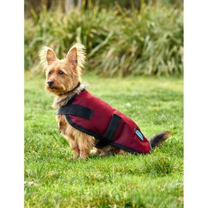 Wasserdichter Hundemantel Weatherbeeta Comfitec Classic image-1