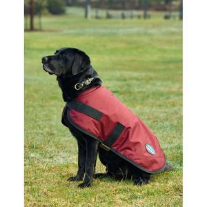 Wasserdichter Hundemantel Weatherbeeta Comfitec Classic image-2