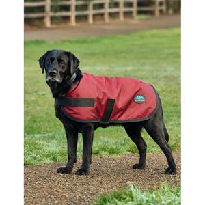 Wasserdichter Hundemantel Weatherbeeta Comfitec Classic image-4