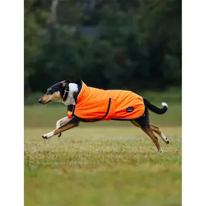 Μπουφάν για σκύλο Weatherbeeta Comfitec Reflective Deluxe 300D image-2
