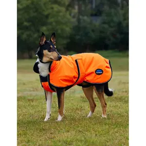 Μπουφάν για σκύλο Weatherbeeta Comfitec Reflective Deluxe 300D image-3