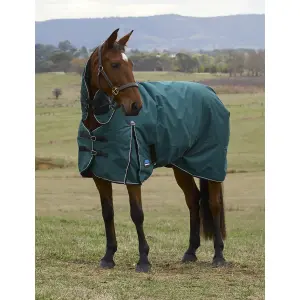 Manta para cavalos ao ar livre Weatherbeeta Comfitec Classic 50g image-1