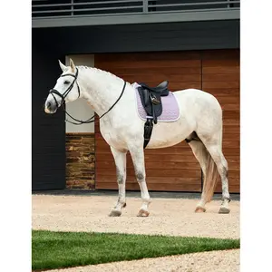 Dressage saddle pad for horses Weatherbeeta Elite Air-Tec image-4