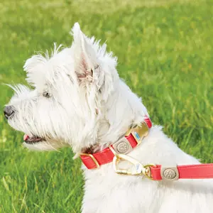 Hundehalsband Weatherbeeta Elegance image-1