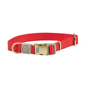 Hundehalsband Weatherbeeta Elegance image-0