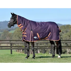 Manta de exterior para caballo de cuello medio Weatherbeeta Comfitec Essential Combo 220 g image-0
