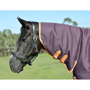 Manta de exterior para caballo de cuello medio Weatherbeeta Comfitec Essential Combo 220 g image-4