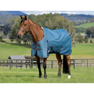 Manta de exterior para caballo de cuello medio Weatherbeeta Comfitec Classic 220 g image-1