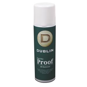 1000855001-quick-drying-spray-dublin-green-white-300-ml