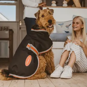 Dog coat Weatherbeeta ComFiTec 1200D Therapy-Tec image-1