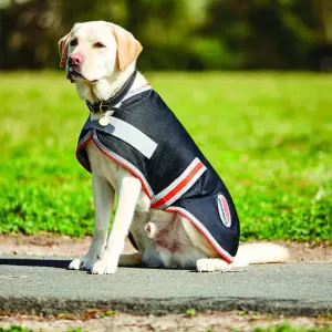 Dog coat Weatherbeeta ComFiTec 1200D Therapy-Tec image-2