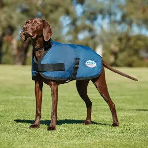 Manteau classique pour chien Weatherbeeta Comfitec image-1